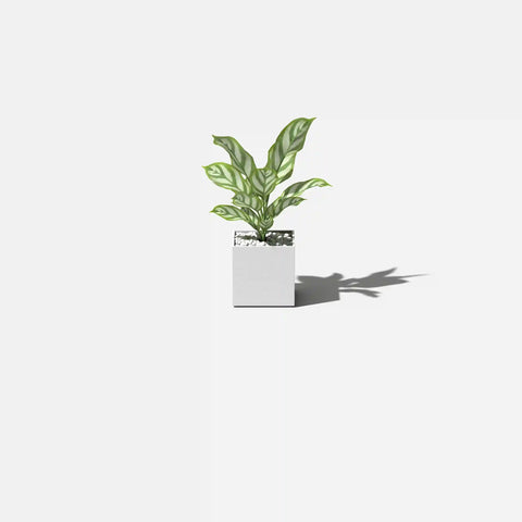 geo cube planter