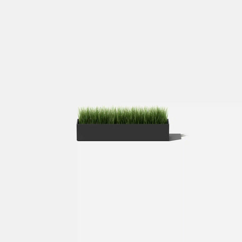 geo short planter