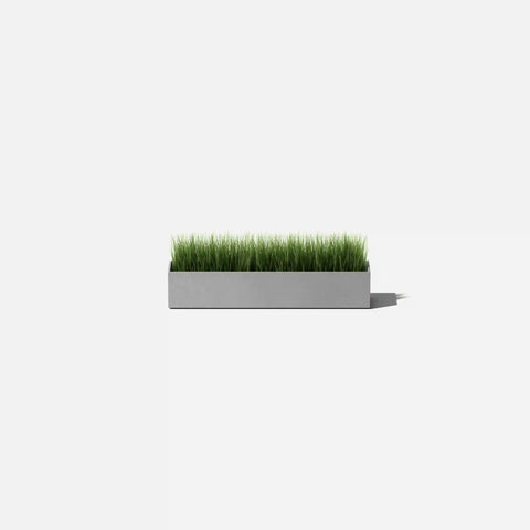 geo short planter