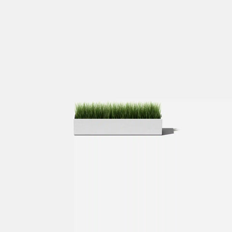 geo short planter