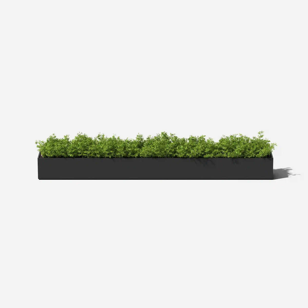 geo trough planter