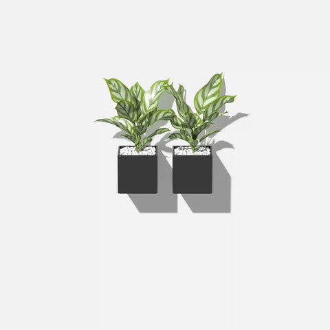 geo hanging cube planter