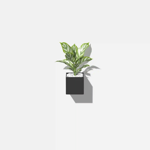 geo hanging cube planter