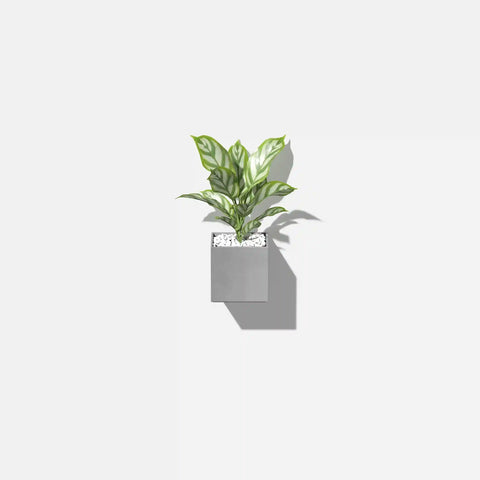 geo hanging cube planter