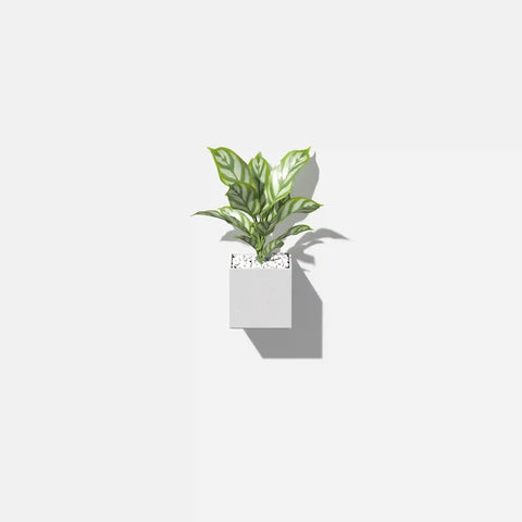 geo hanging cube planter