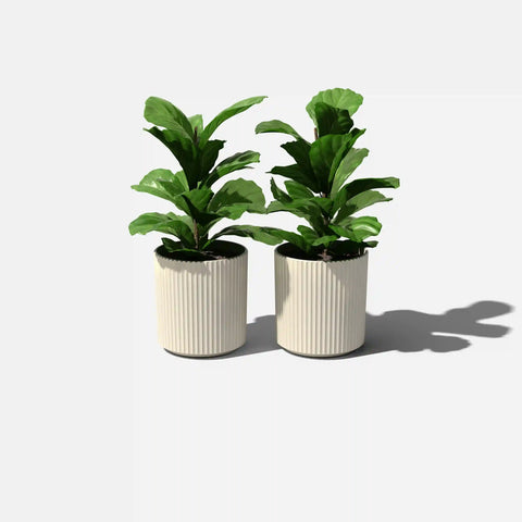 demi planter