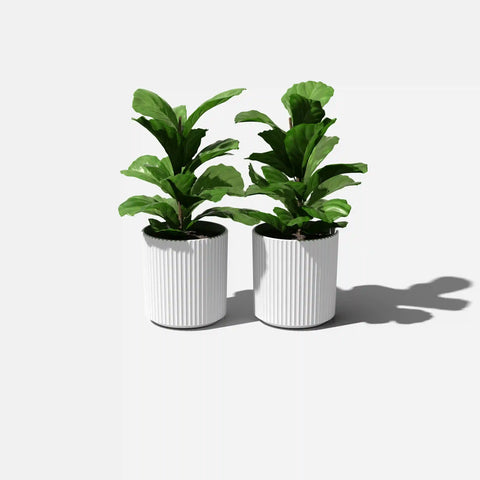 demi planter