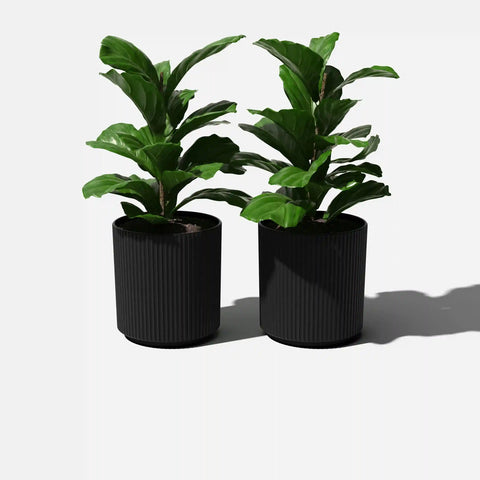 demi planter