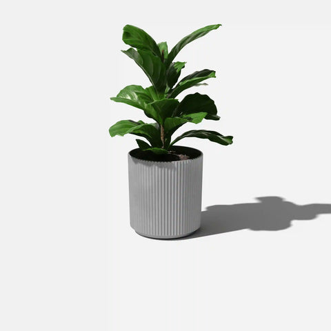 demi planter