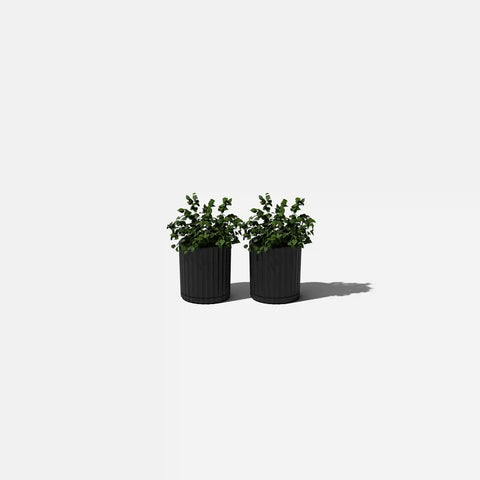 demi six planter