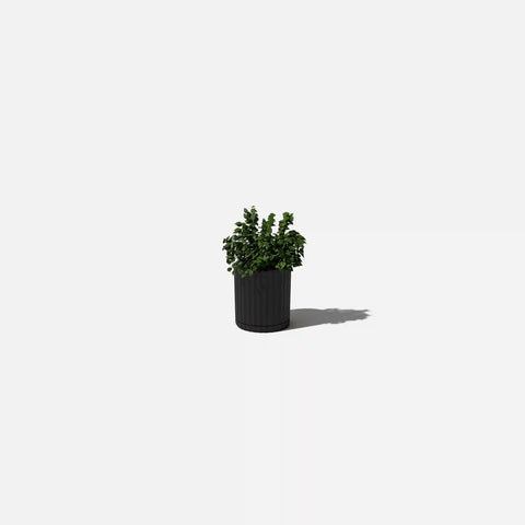 demi six planter