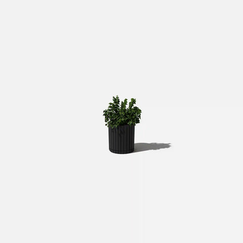 demi six planter