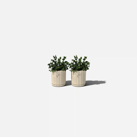 demi six planter