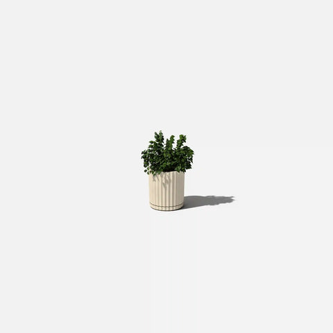 demi six planter