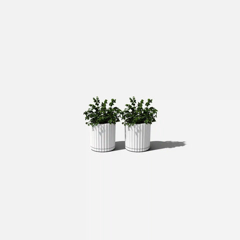 demi six planter