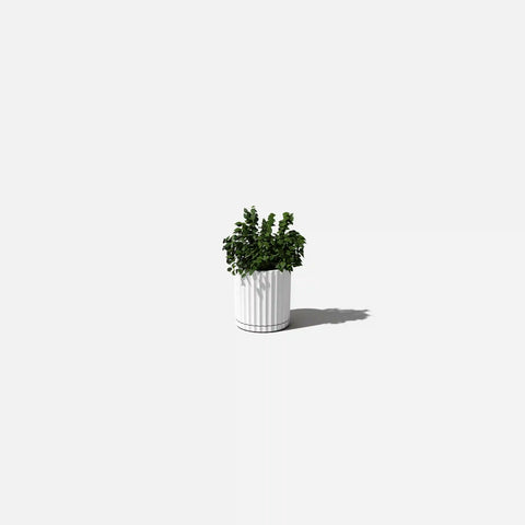 demi six planter