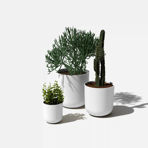 mason kona planter trio