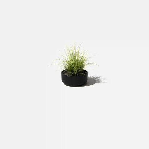 mason kona bowl planter