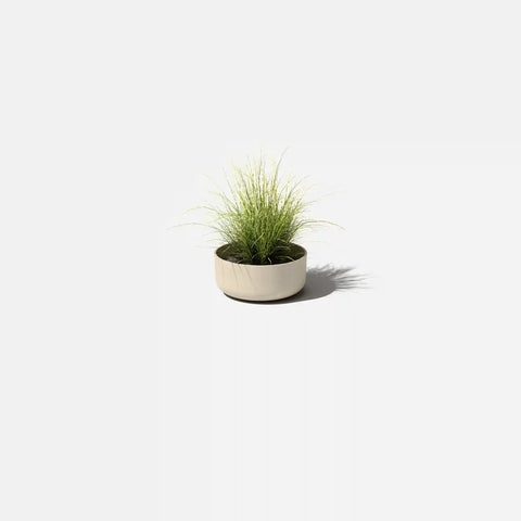 mason kona bowl planter