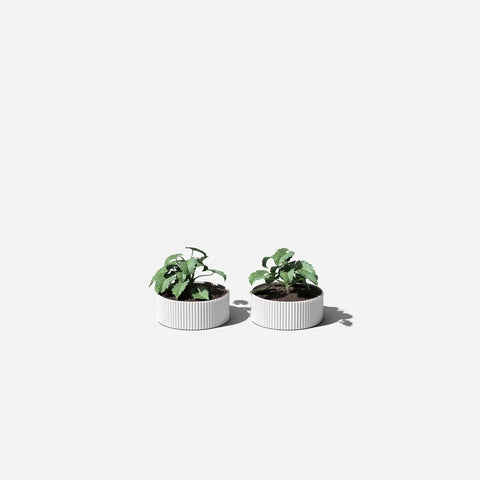mod bowl planter duo