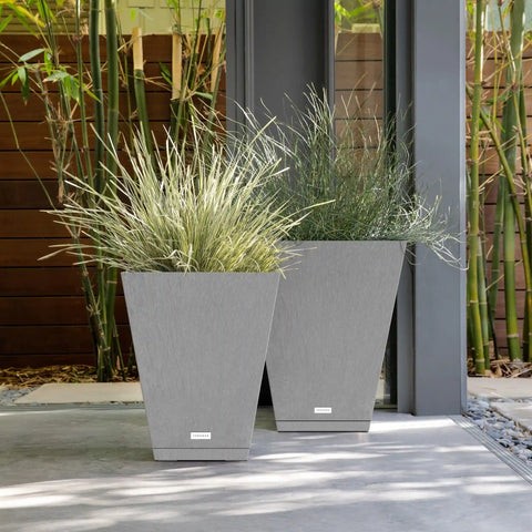 pure nobleton – the only tray™