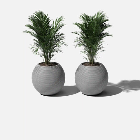 sphere planter