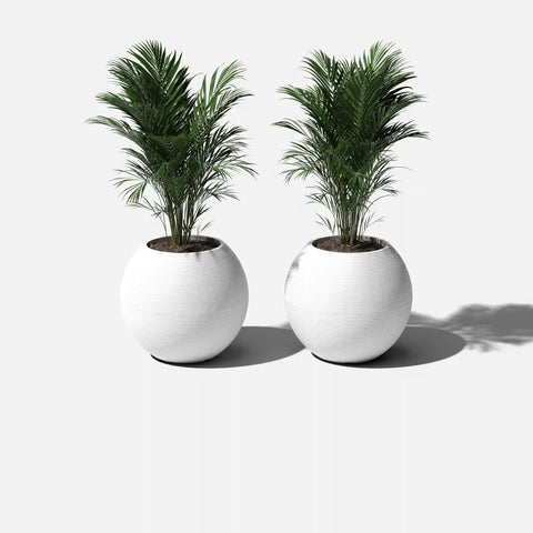 sphere planter