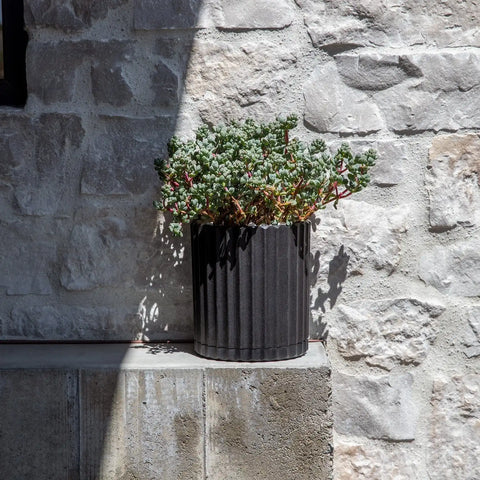 demi six planter