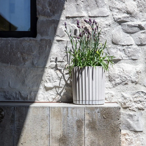 demi six planter