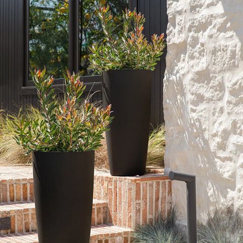 mason selena planter