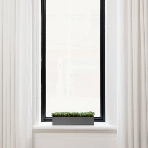 geo short planter