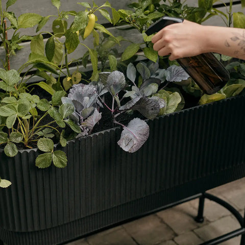 demi raised garden bed